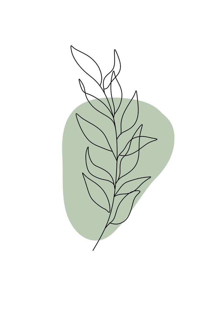 leaf drawing